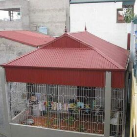 Kiểm tra tường, trần, sàn, mái, bể nước…