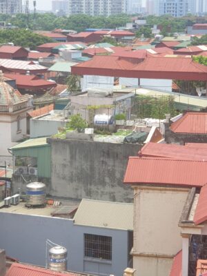 dịch vụ uy tín
