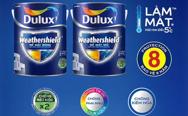 dịch vụ sơn nhà