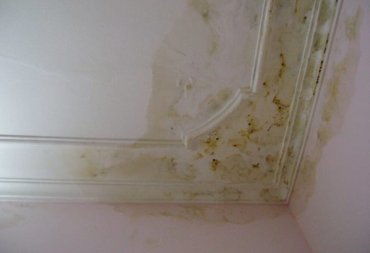 chống thấm dột trần nhà