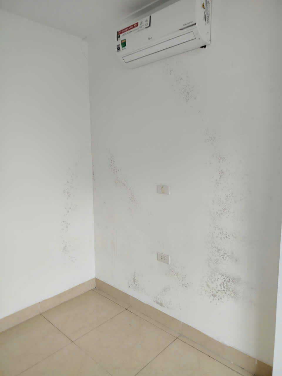 chống thấm tường nhà