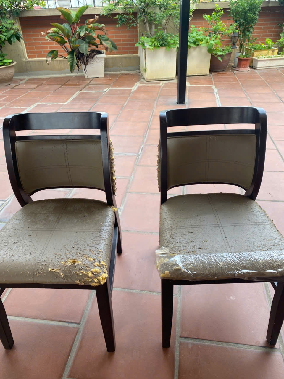 bọc ghế bàn ăn đẹp tại nhà hà nội